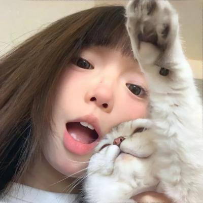 鲸鱼马戏团