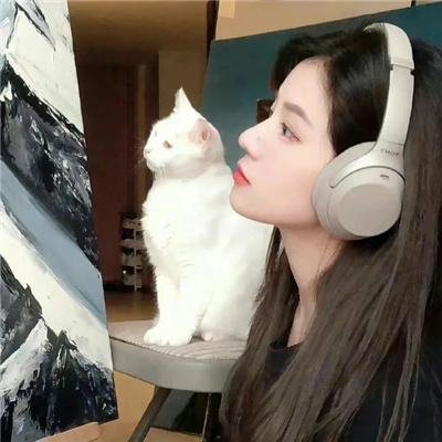 雁归西窗月