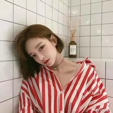 嘿,阿诺德!丛林